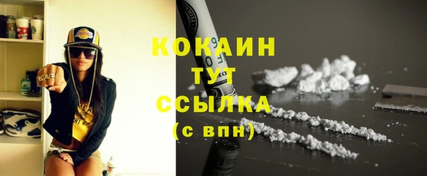 стаф Абинск