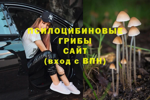 стаф Абинск