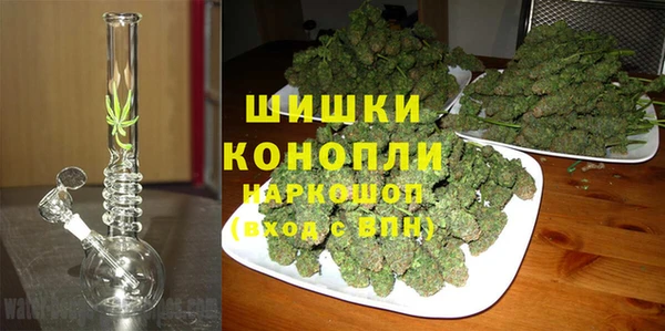 стаф Абинск